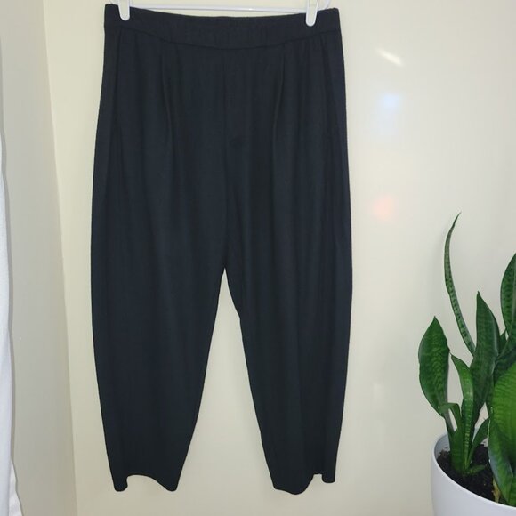 Eileen Fisher Black Wool Straight Leg Pant Elastic Waist 2 Pockets Women's SZ L - Picture 5 of 11